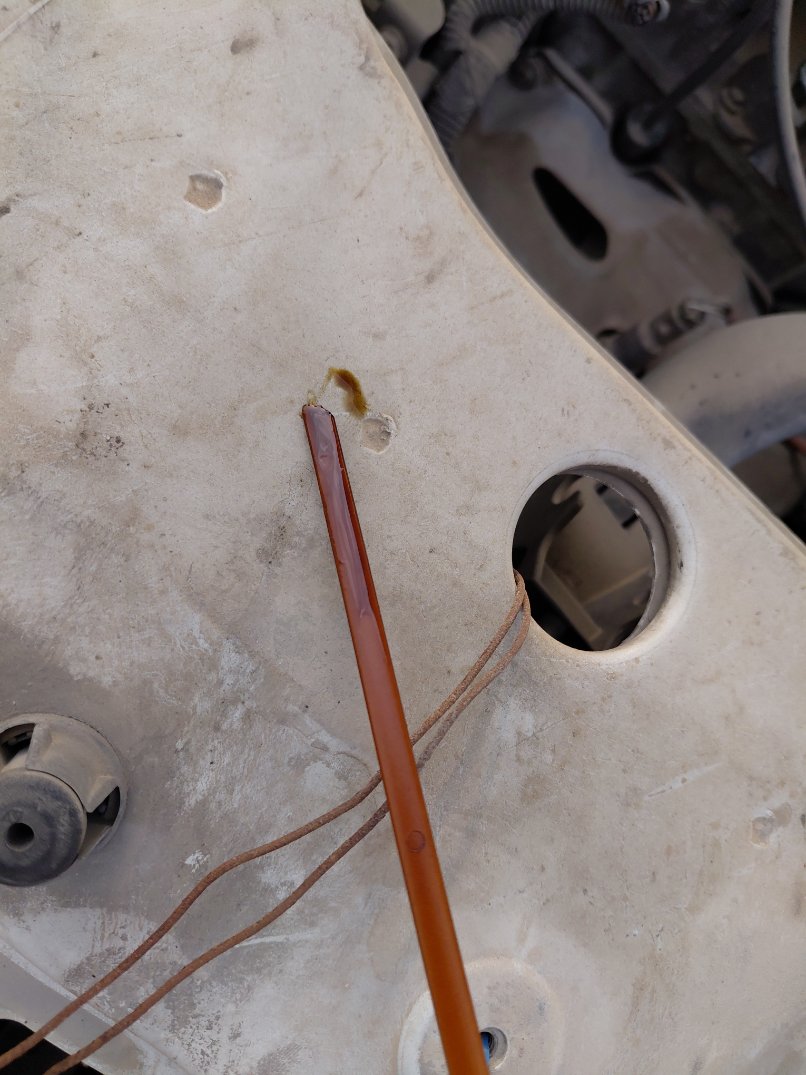 رينو دوكر STD 2019 image