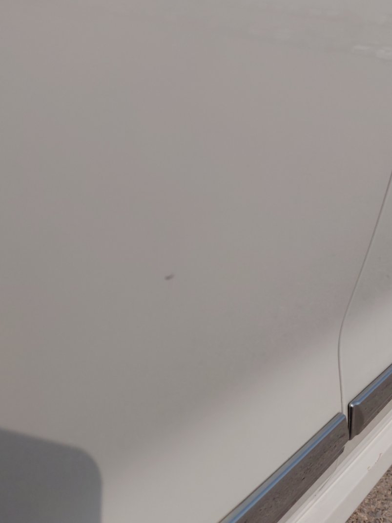 تويوتا كورولا XLI EXECUTIVE 2021 image