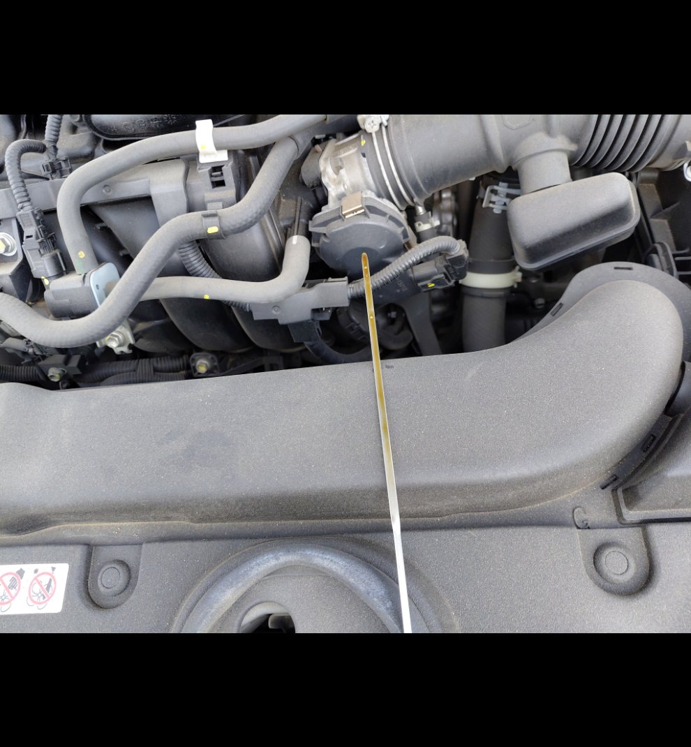 تويوتا كورولا XLI 2023 image