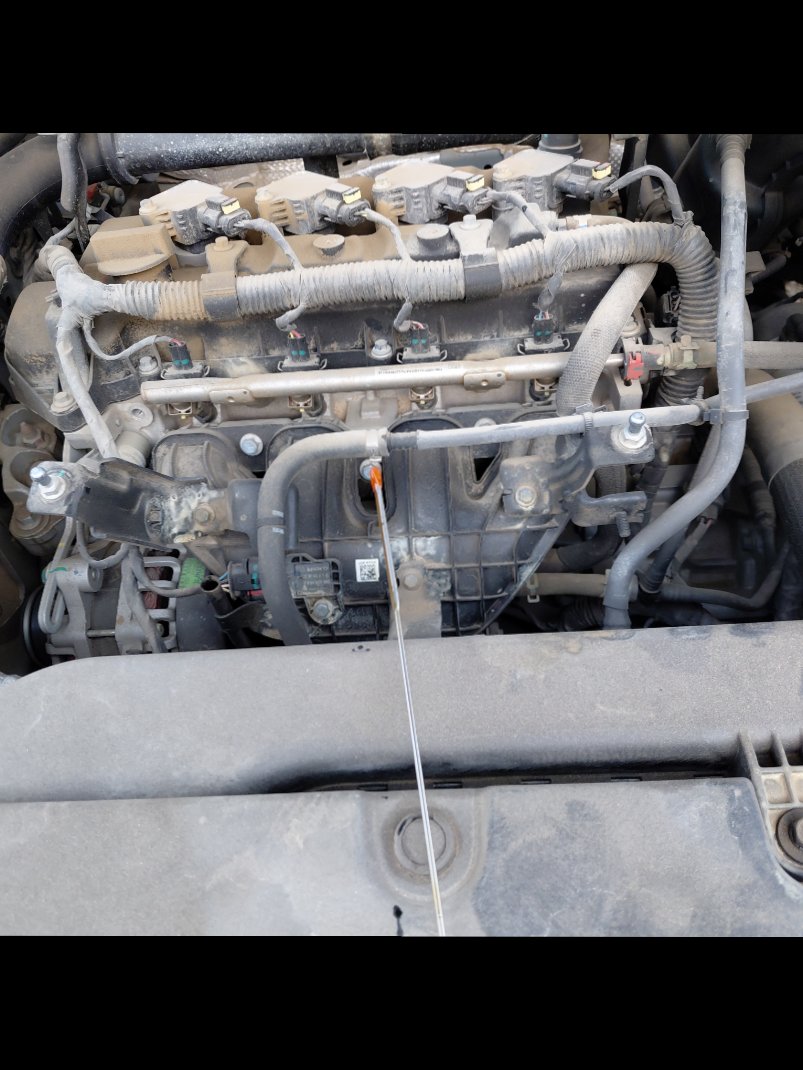 Haval Jolion ACTIVE PLUS 2023 image