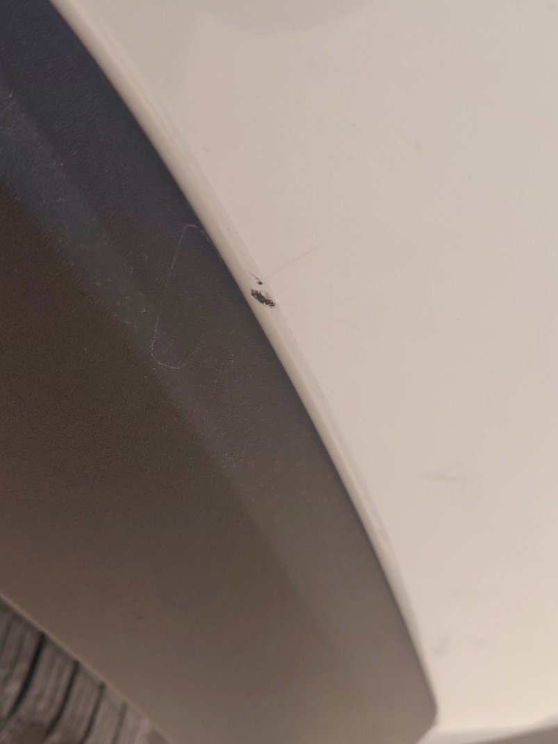 تويوتا راف فور AWD 2022 image