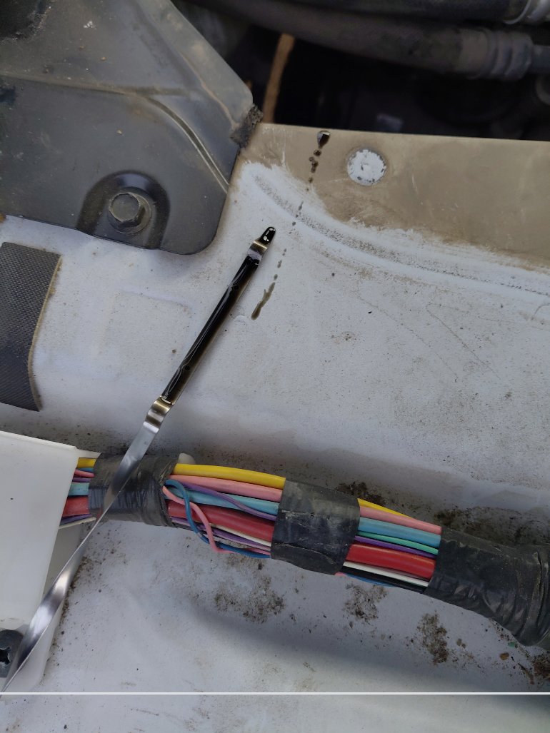 نيسان Urvan  2022 image