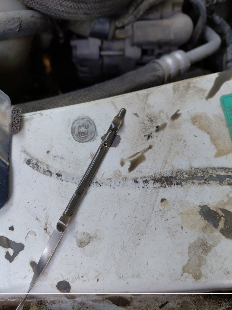 نيسان Urvan  2021 image