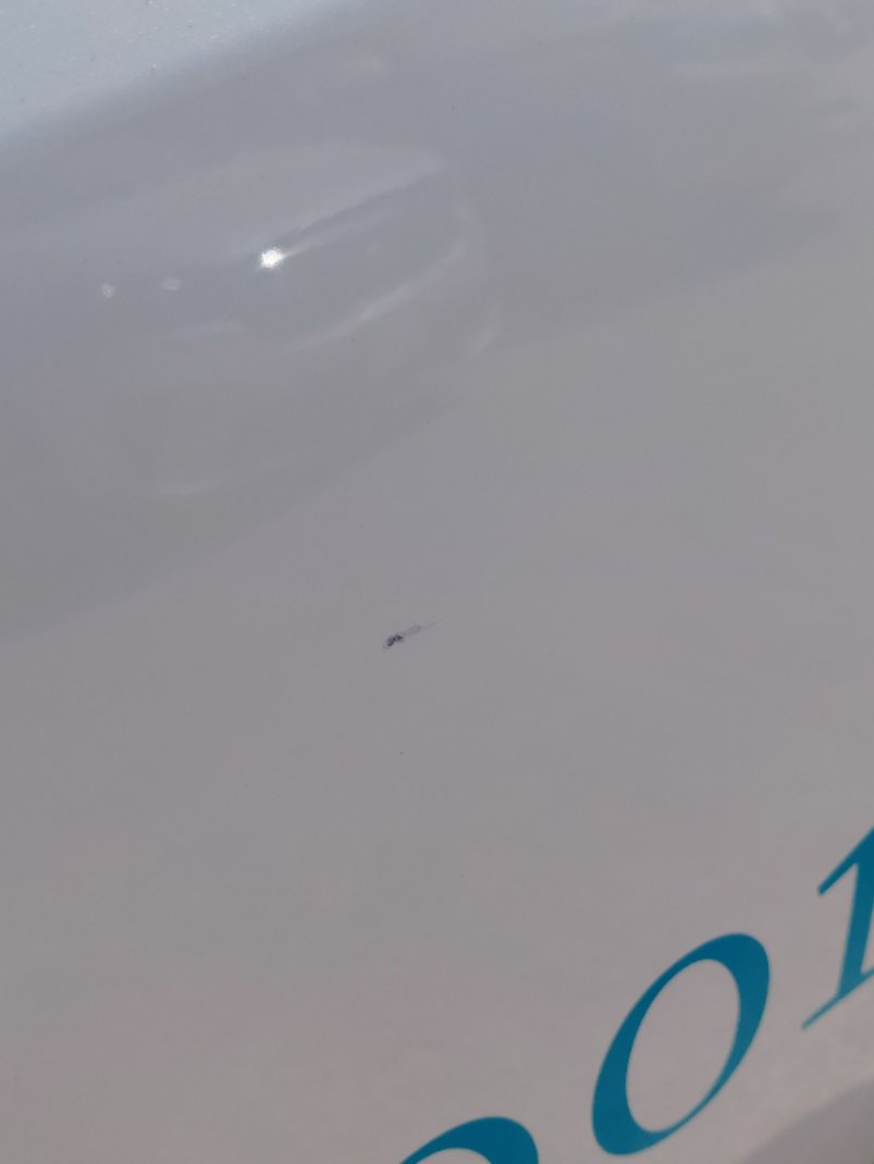 تويوتا راف فور AWD 2022 image