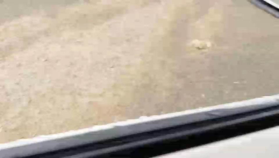 تويوتا كورولا XLI 2023 video