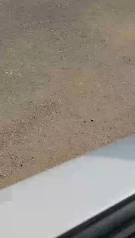 تويوتا كورولا XLI 2023 video