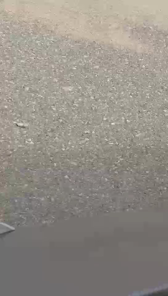 هيونداي إلنترا FLEET 2024 video