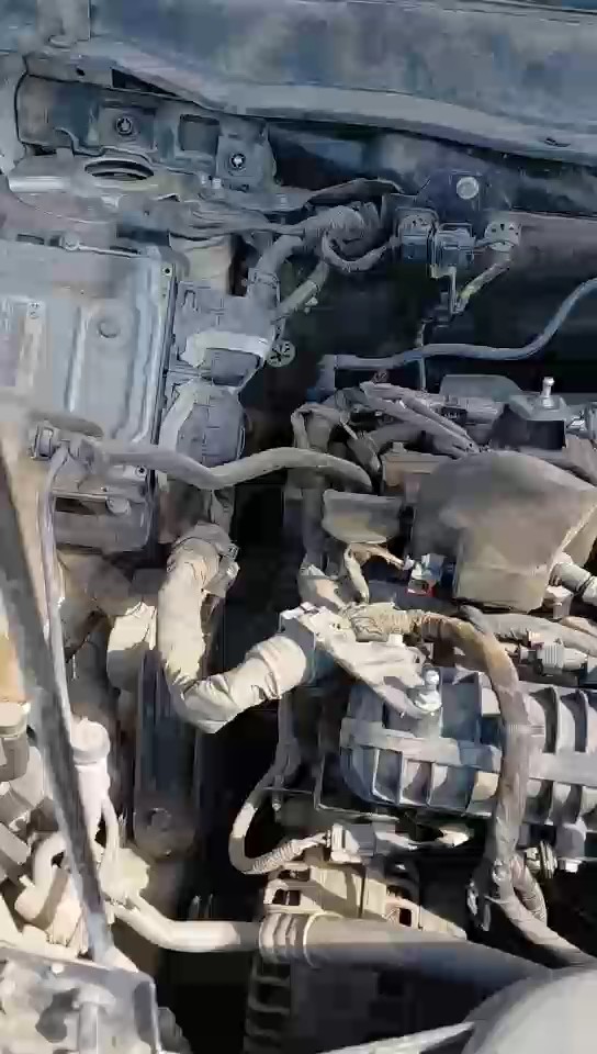 هافال H6  2022 video