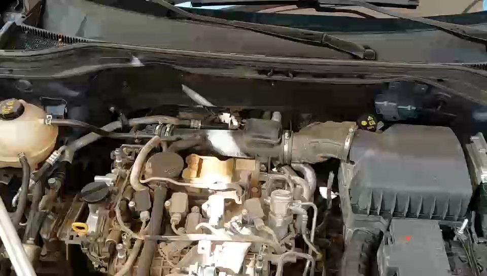 فورد تيرتوري  - رياضية - امبينتي - Ambiente 2024 video