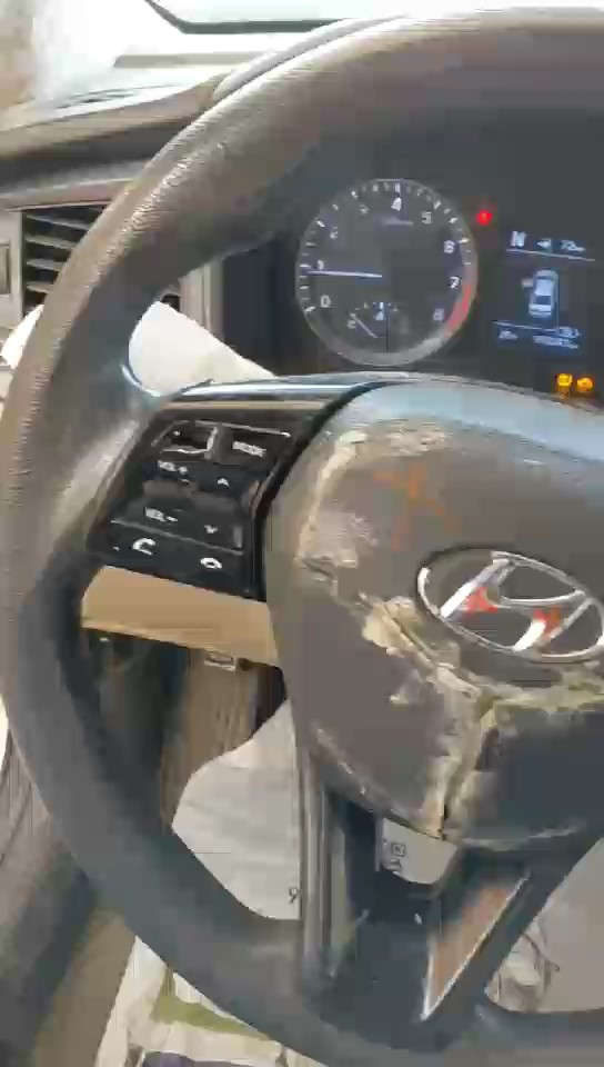 Hyundai Sonata FLEET  2018 video