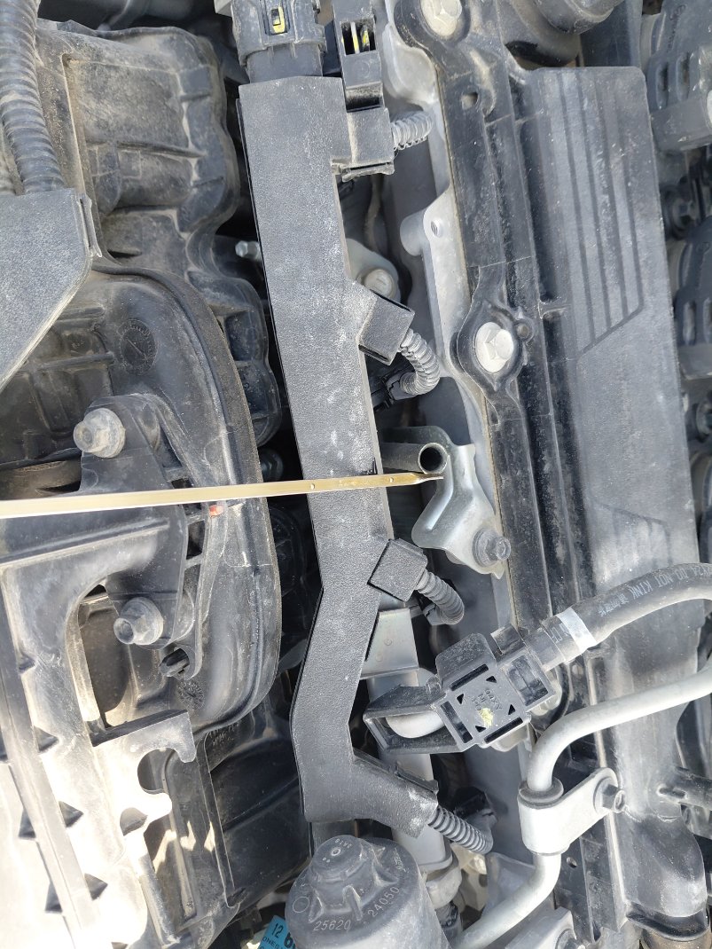 Toyota Corolla XLI EXECUTIVE M/R 2023 image