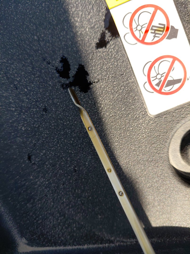 تويوتا كورولا  XLI EXE M/R  2024 image