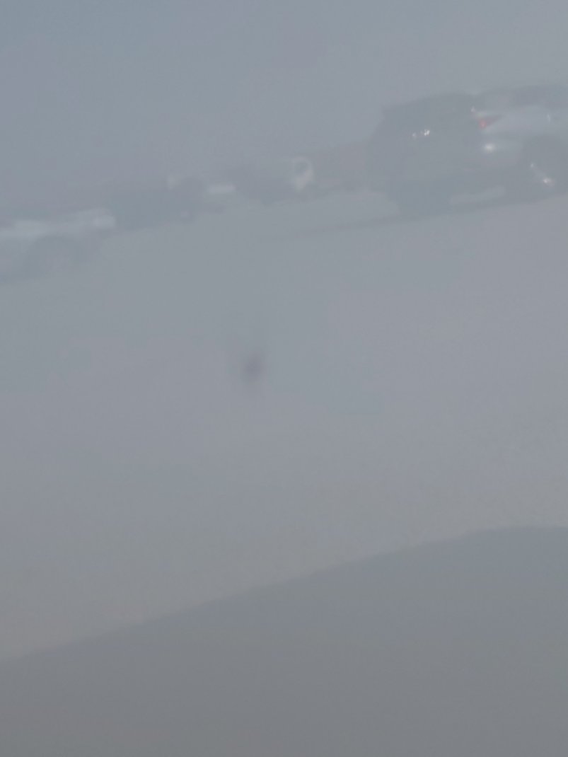 Toyota Yaris SD Y 2024 image