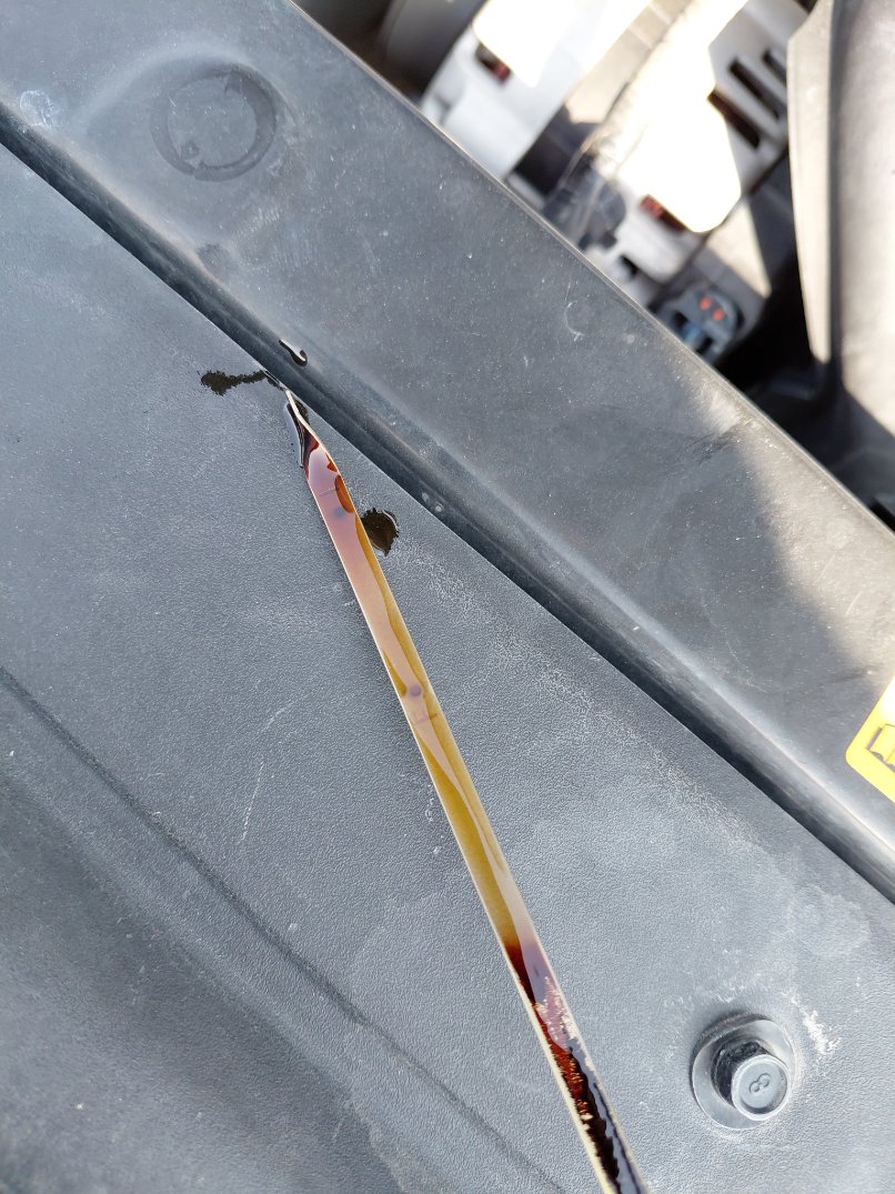 Hyundai Accent FLEET 2020 image