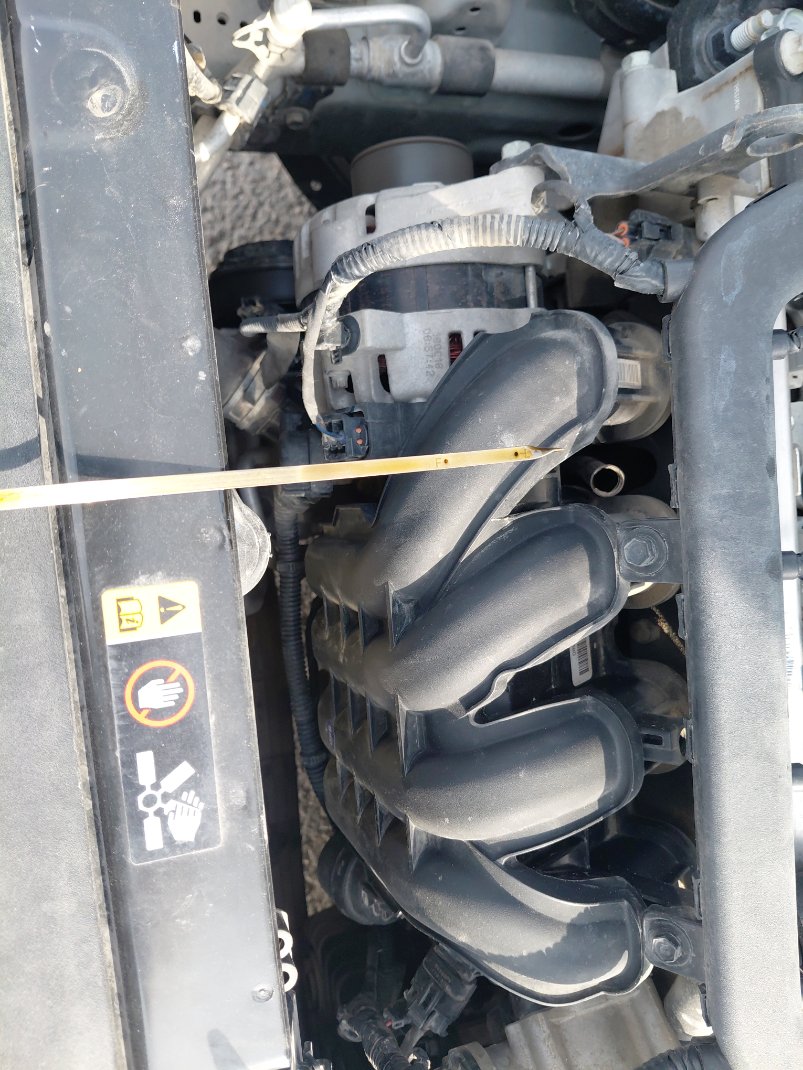 هيونداي أكسنت FLEET 2019 image