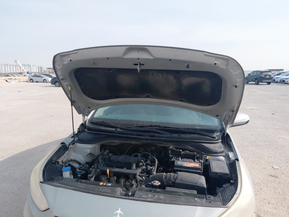 هيونداي أكسنت FLEET 2019 image