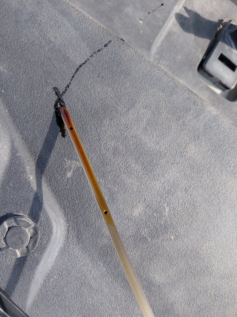 تويوتا يارس SD Y PLUS  2021 image