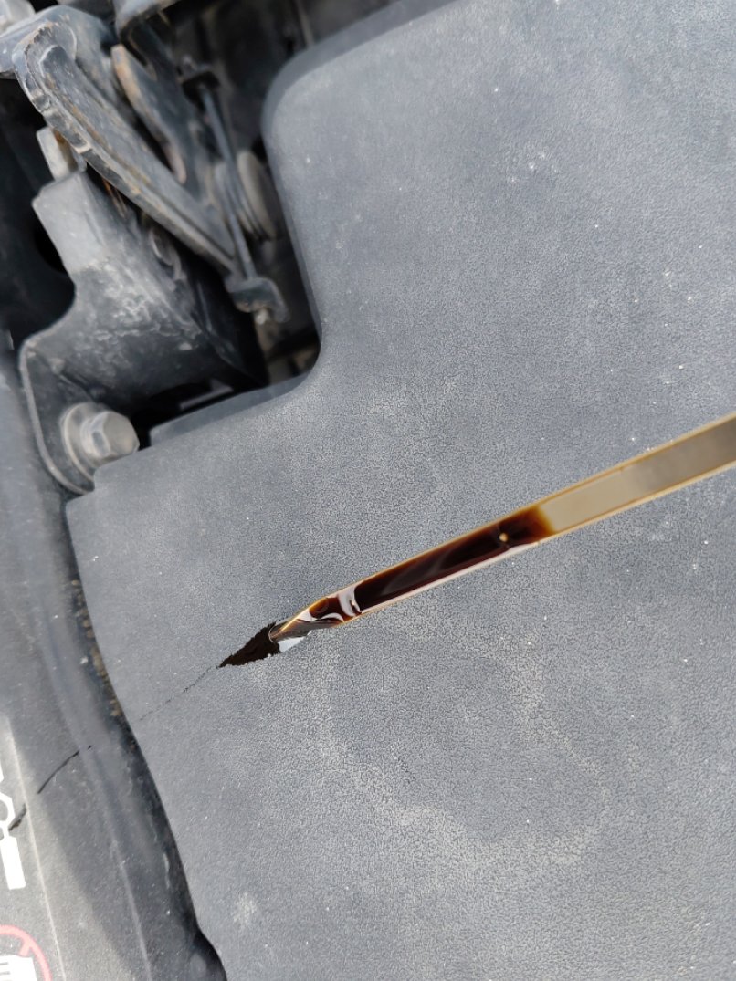 كيا بيجاس FLEET 2021 image