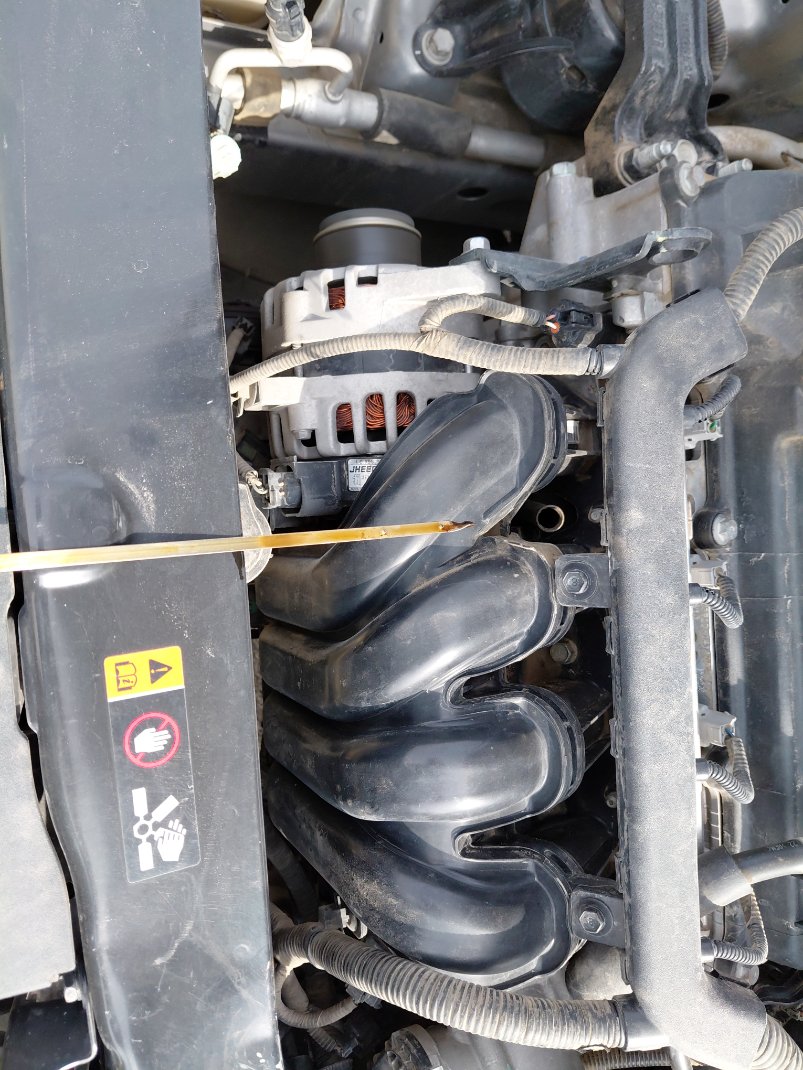 كيا بيجاس LX 2021 image