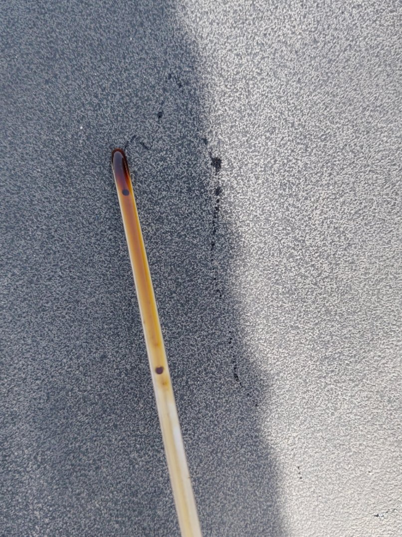 Toyota Yaris SD Y PLUS  2022 image