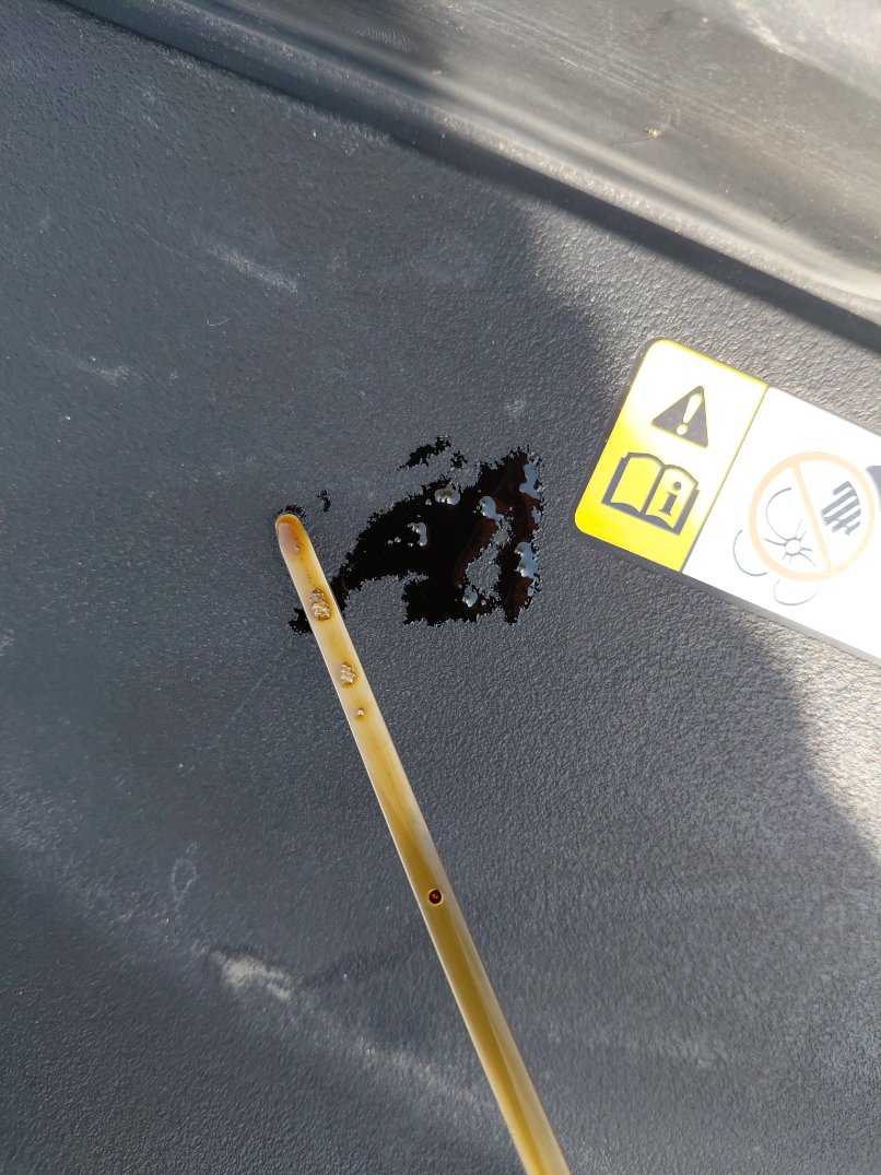 تويوتا كورولا XLI EXE M/R 2022 image