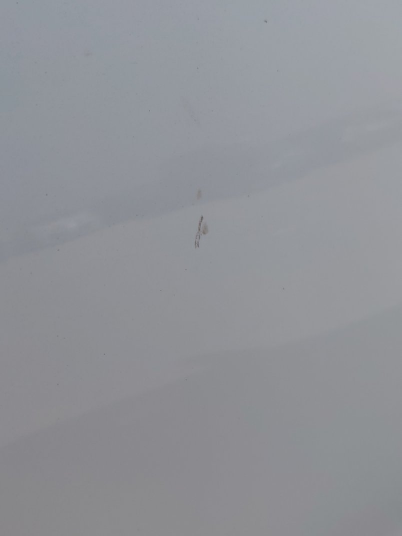 كيا Seltos LX  2023 image