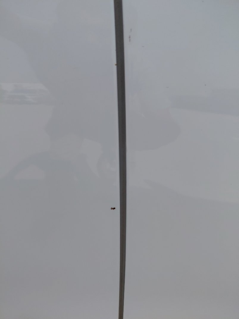 كيا Seltos LX  2023 image