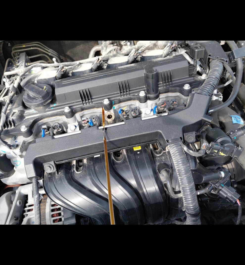 KIA Sonet LX Sports Utility 2024 image