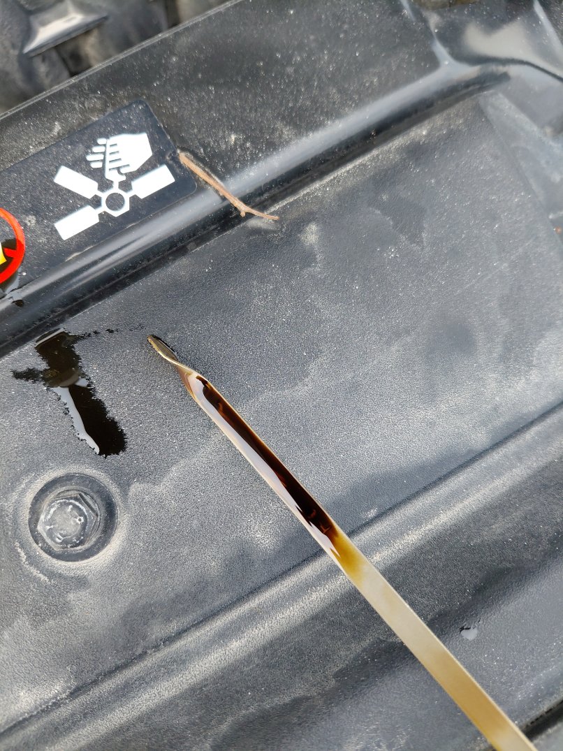 Hyundai Accent FLEET 2021 image