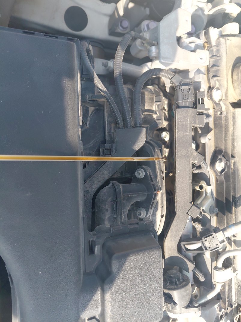 تويوتا راف فور LE 2021 image