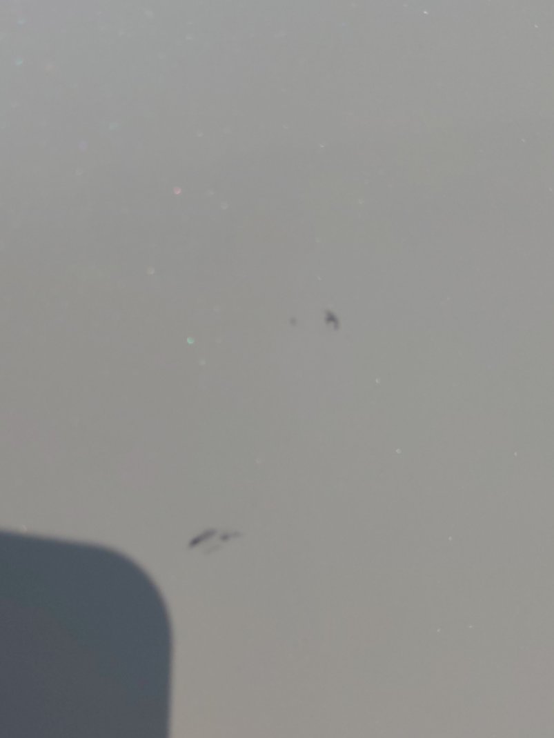 تويوتا راف فور LE 2021 image