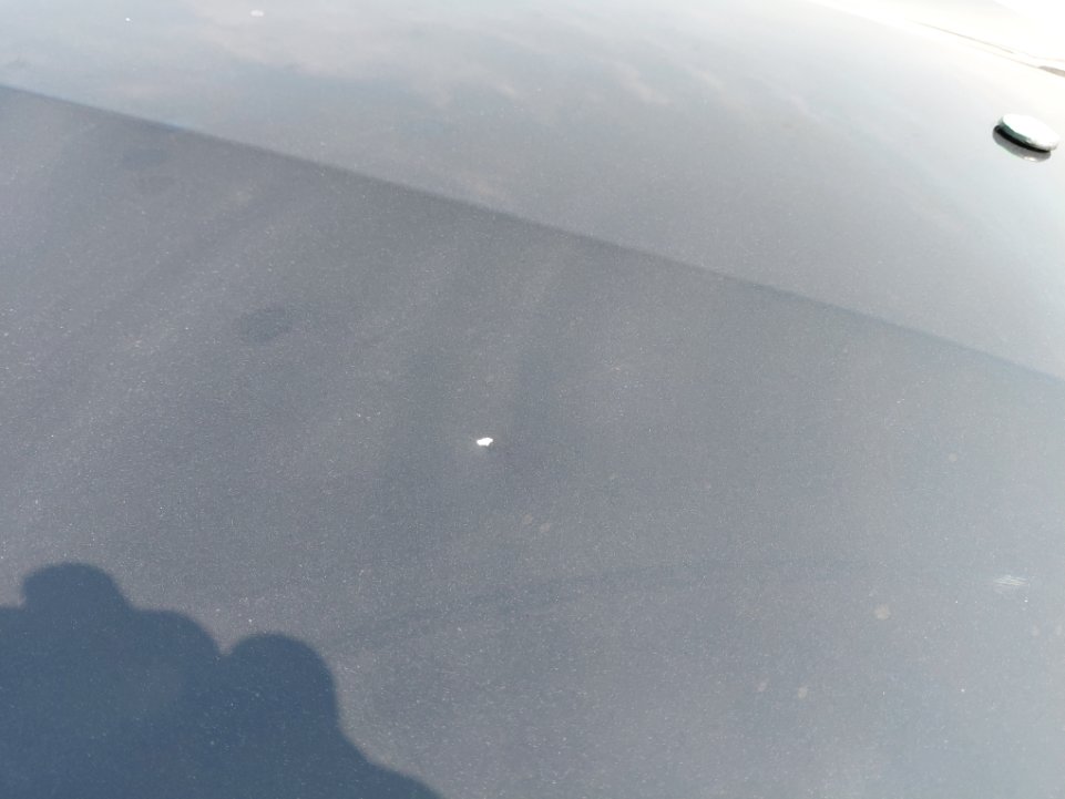 فورد توروس Trend 2023 image