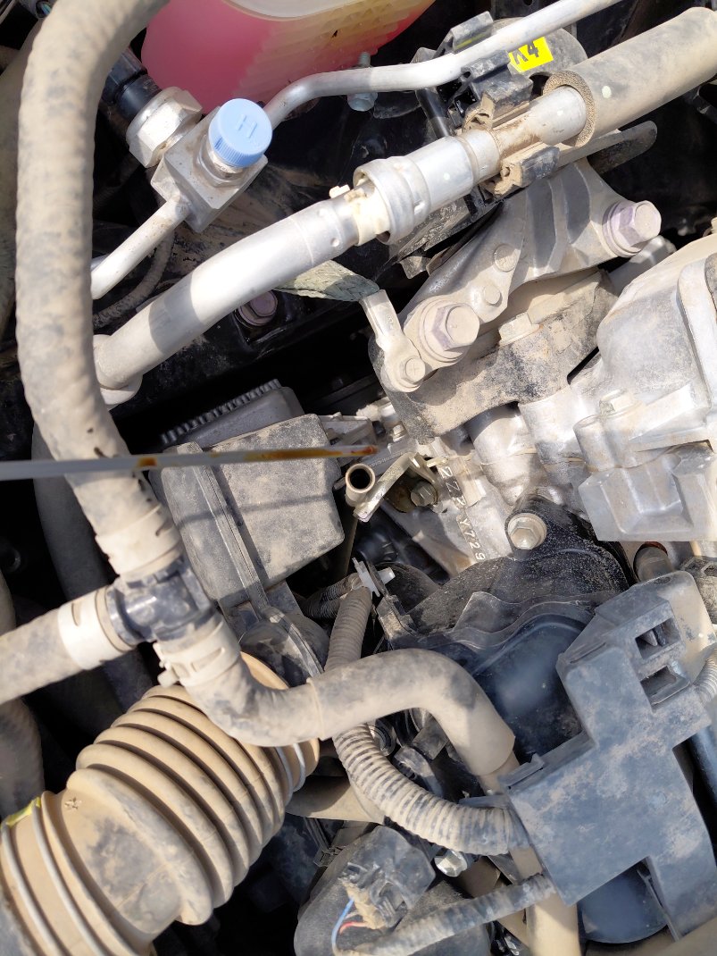 تويوتا كورولا كروس LE HEV 4X2 2021 image