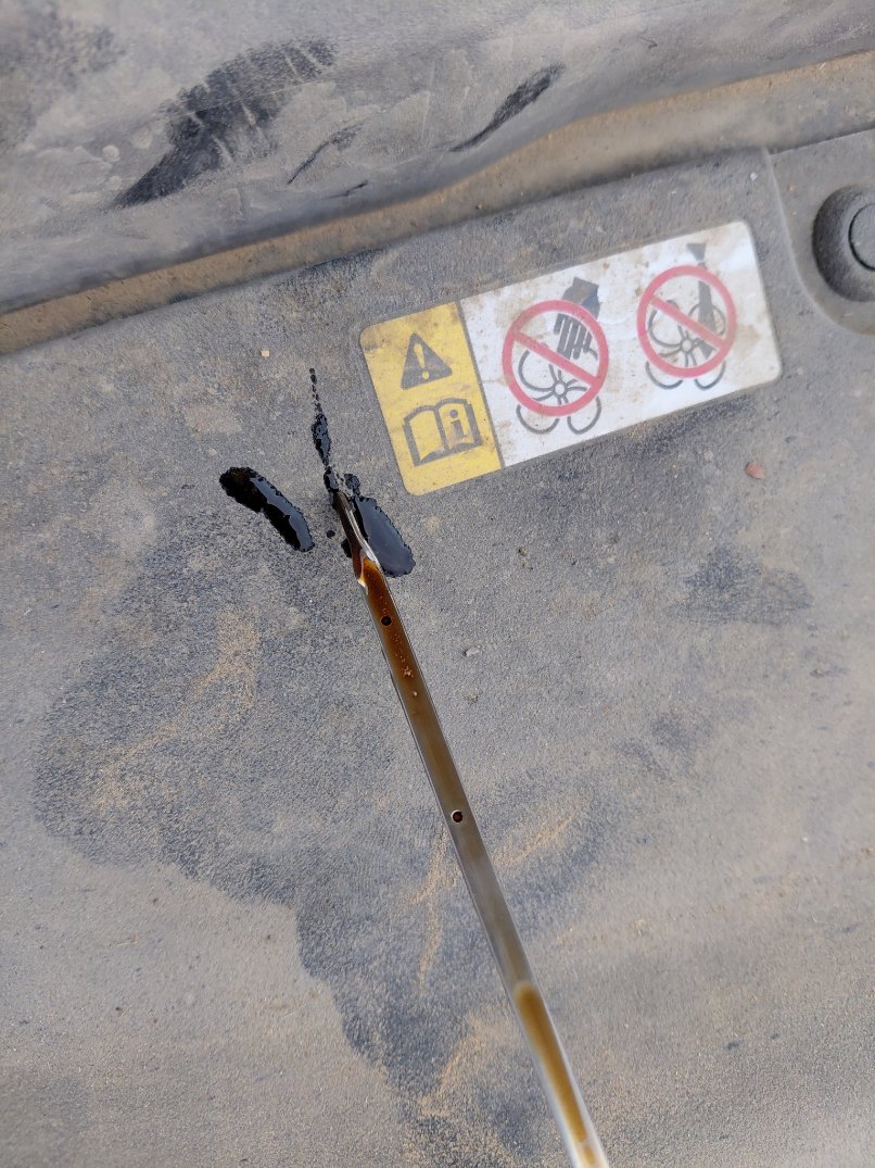 Toyota Corolla  XLI EXE  2024 image