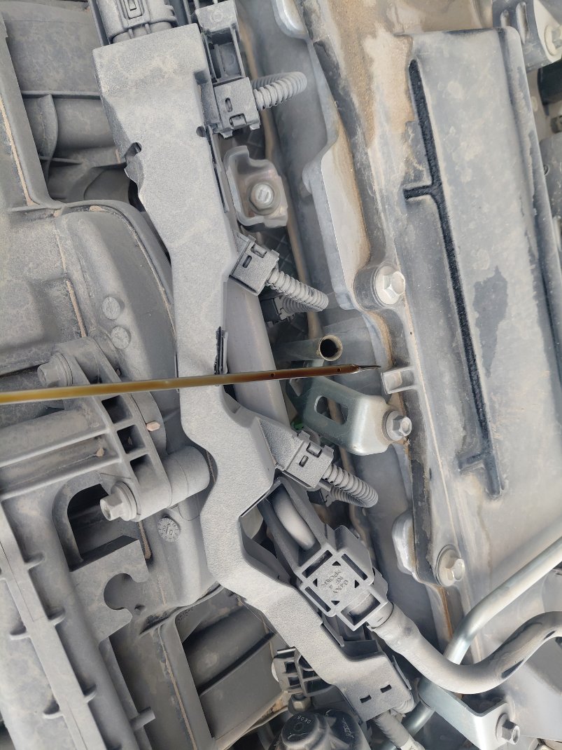 Toyota Camry LE 2020 image