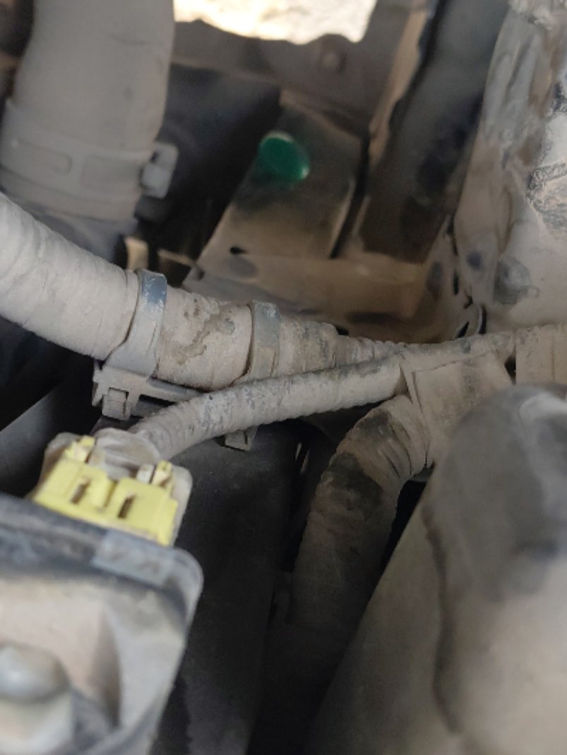 Toyota Camry LE 2020 image