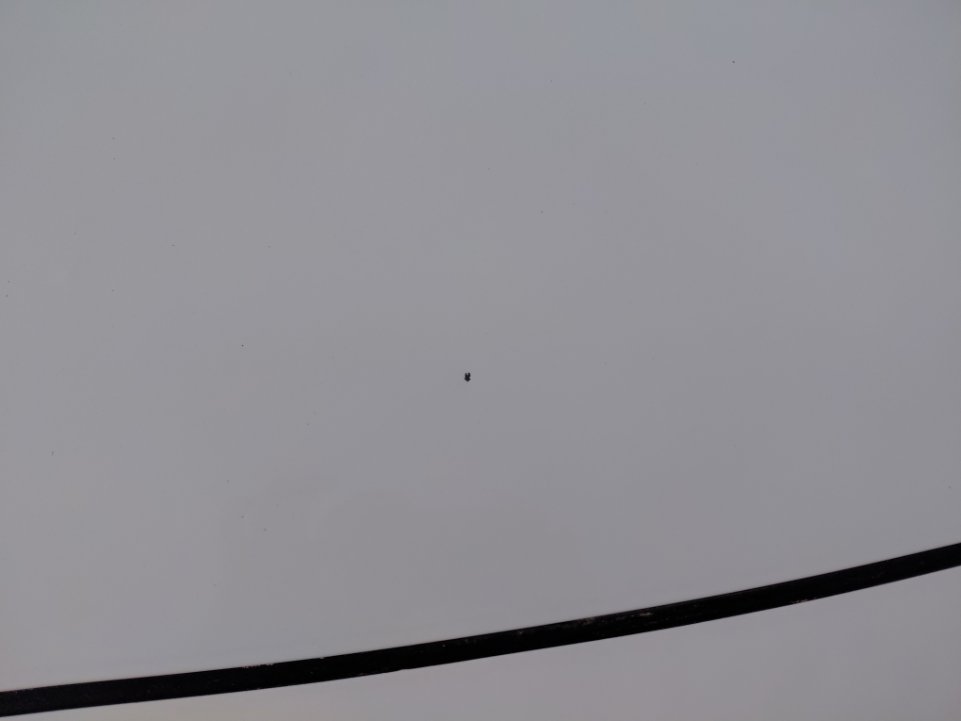 هيونداي أكسنت Smart Sports  2023 image