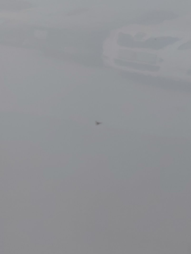 هيونداي أكسنت Smart Sports  2023 image