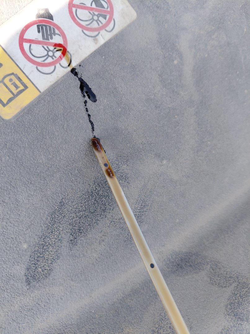 Toyota Corolla  XLI EXECUTIVE M/R  2021 image