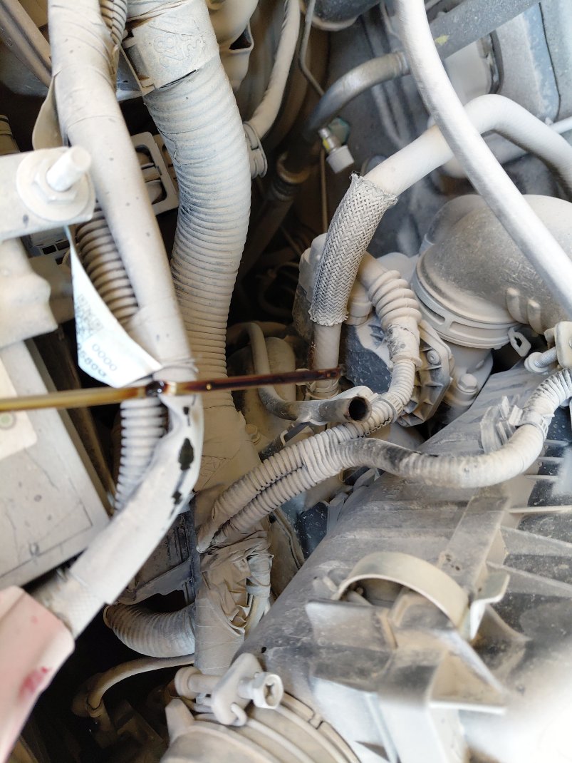 تويوتا راش GL 75 -  Sports 2021 image