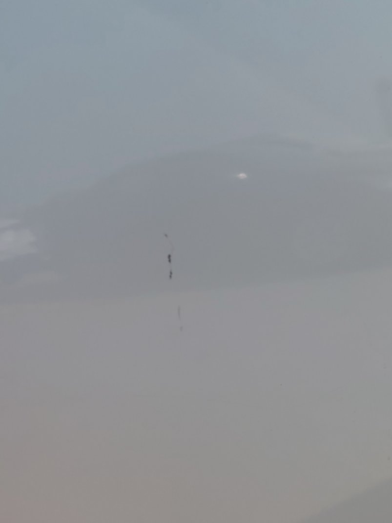 تويوتا كورولا XLI EXECUTIVE 2021 image