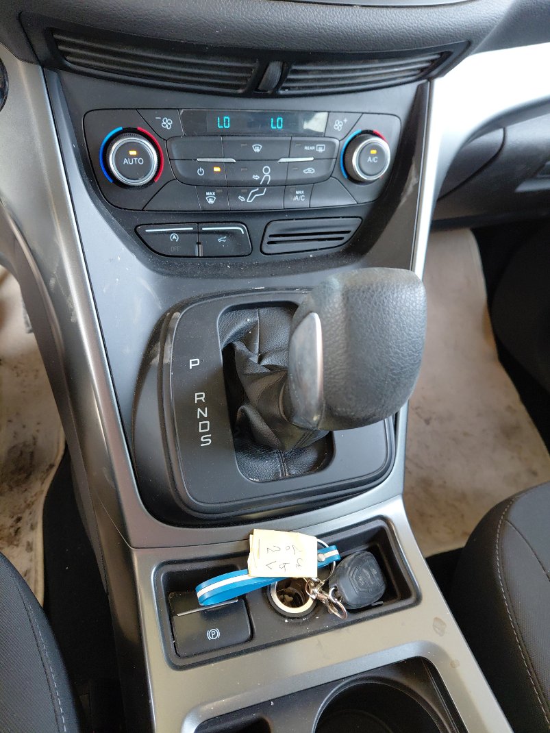 فورد اسكيب -  اس اي (ترند) سبورت 2019 image