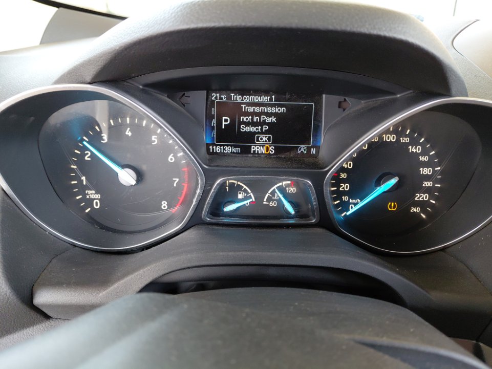 فورد اسكيب -  اس اي (ترند) سبورت 2019 image