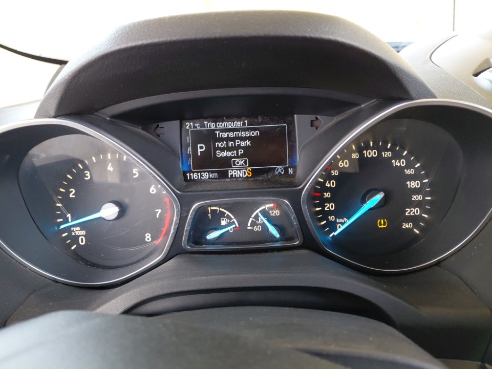 فورد اسكيب -  اس اي (ترند) سبورت 2019 image