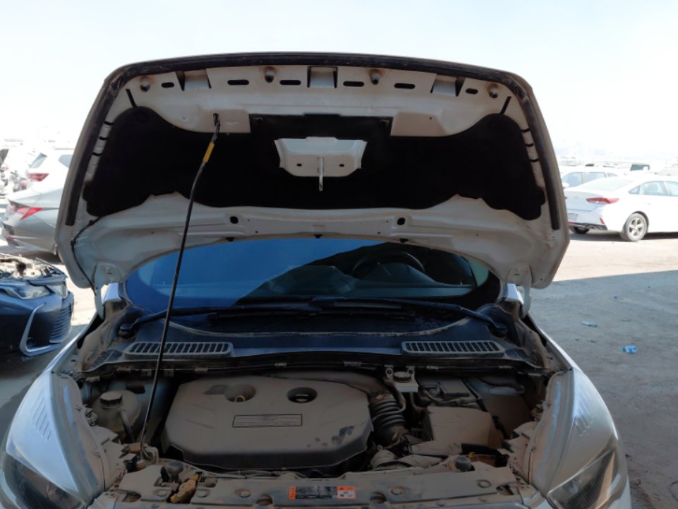 فورد اسكيب -  اس اي (ترند) سبورت 2019 image