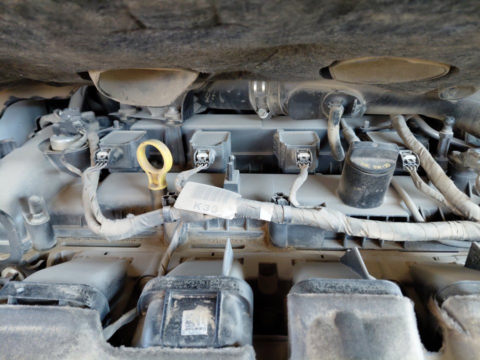 فورد اسكيب -  اس اي (ترند) سبورت 2019 image