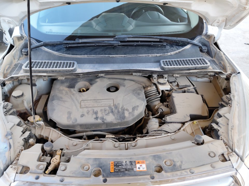 فورد اسكيب -  اس اي (ترند) سبورت 2019 image