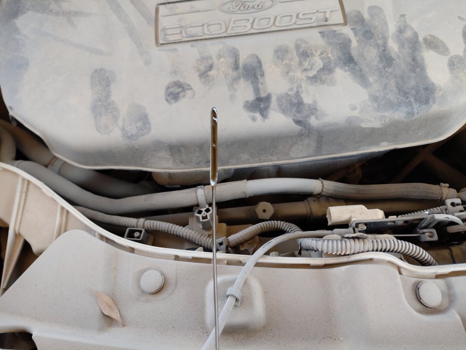 فورد اسكيب -  اس اي (ترند) سبورت 2019 image