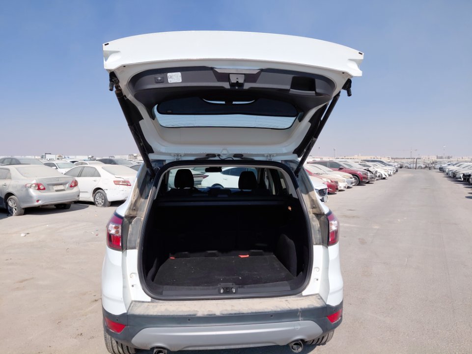 فورد اسكيب -  اس اي (ترند) سبورت 2019 image