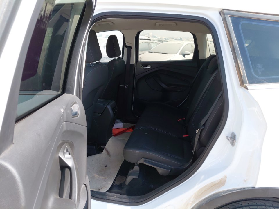 فورد اسكيب -  اس اي (ترند) سبورت 2019 image